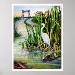 Póster Humedales de Luisiana