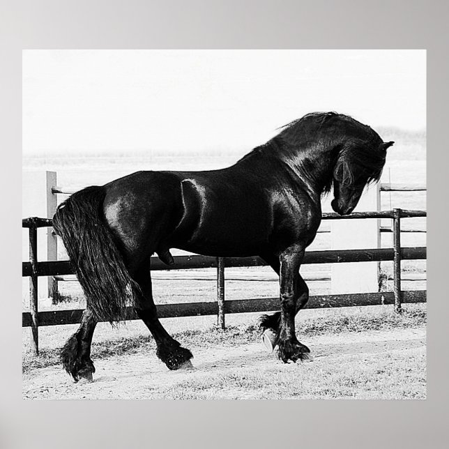 Póster Humildad de caballos (Frente)