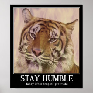Póster Humilde_