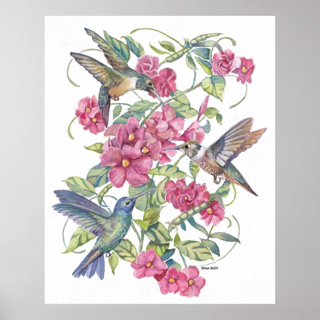 PÓSTER HUMMING BIRDS WITH PINK FLOWERS (Frente)