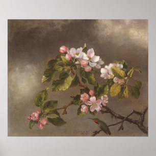 Póster Hummingbird and Apple Blossoms