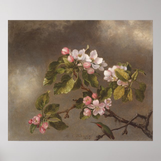 Póster Hummingbird and Apple Blossoms (Frente)
