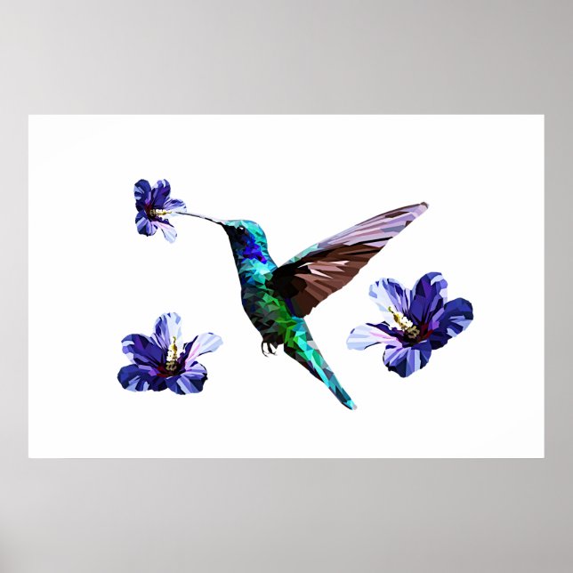 Póster Hummingbird blanco y Poster de Hibiscus (Frente)