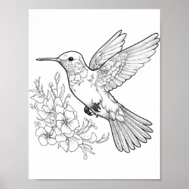 Póster Hummingbird Coloring adulto