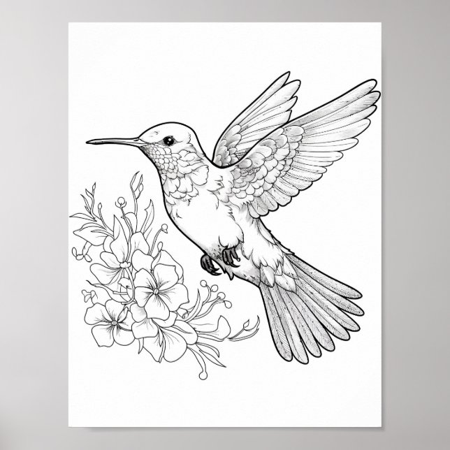 Póster Hummingbird Coloring adulto (Frente)