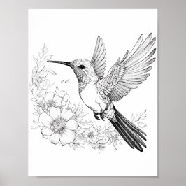 Póster Hummingbird Coloring adulto