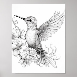 Póster Hummingbird Coloring adulto