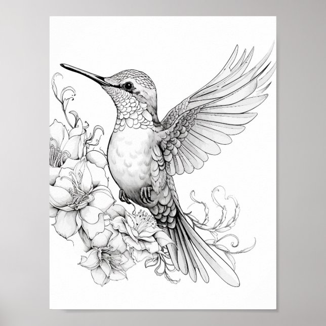 Póster Hummingbird Coloring adulto (Frente)