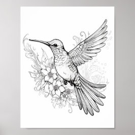 Póster Hummingbird Coloring adulto