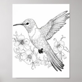 Póster Hummingbird Coloring adulto