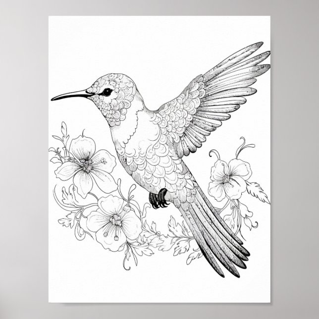 Póster Hummingbird Coloring adulto (Frente)