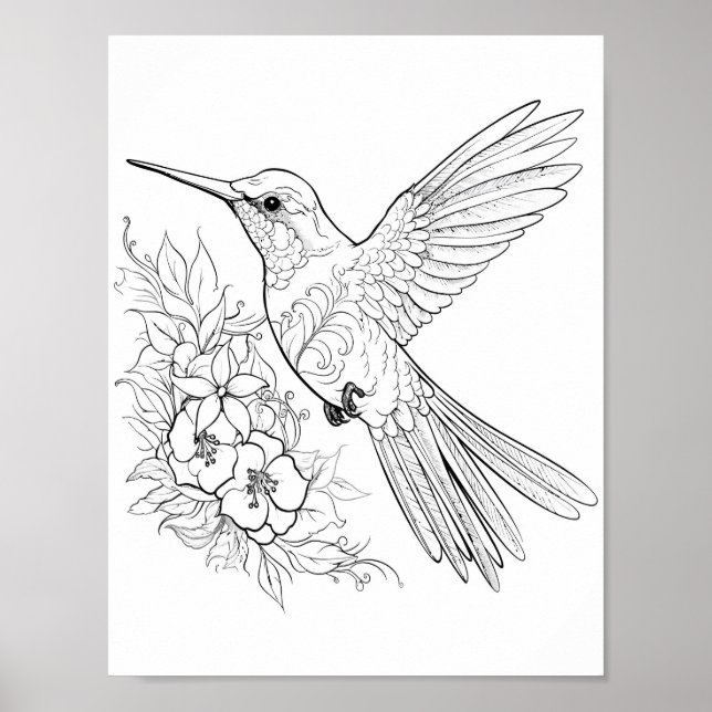 Póster Hummingbird Coloring adulto (Frente)