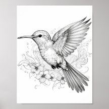 Hummingbird Coloring adulto