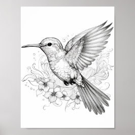 Póster Hummingbird Coloring adulto