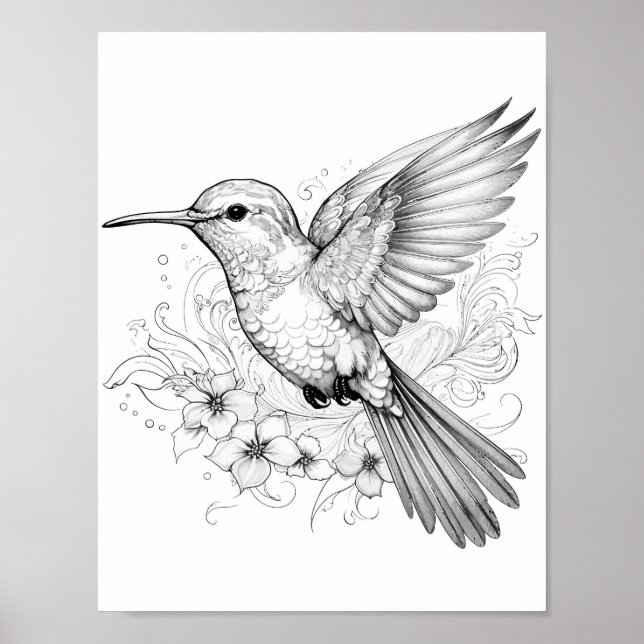 Póster Hummingbird Coloring adulto (Frente)