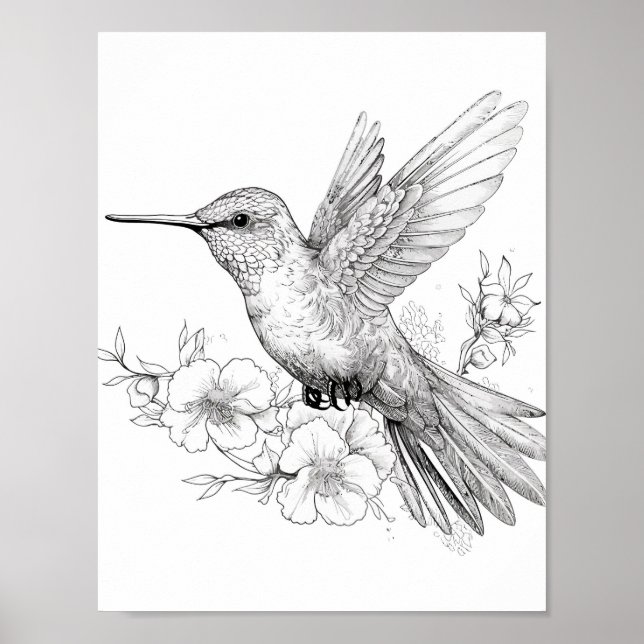 Póster Hummingbird Coloring adulto (Frente)