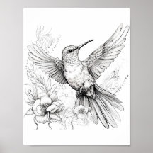 Hummingbird Coloring adulto
