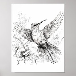 Póster Hummingbird Coloring adulto