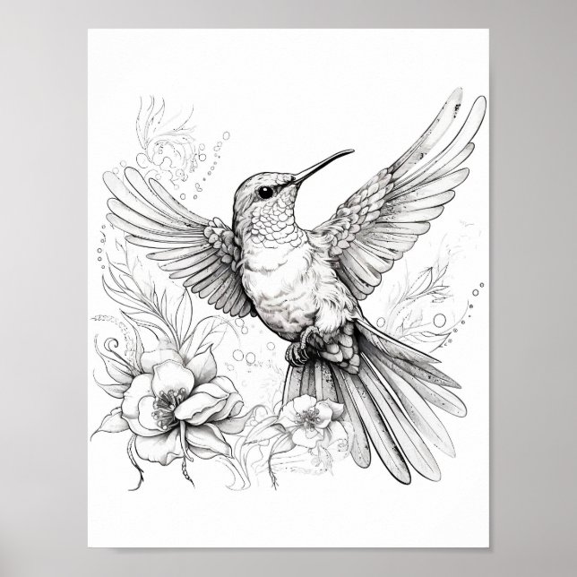 Póster Hummingbird Coloring adulto (Frente)