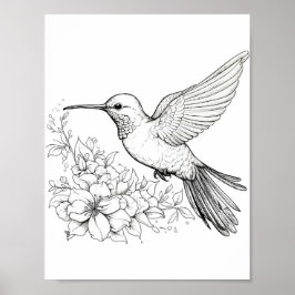 Póster Hummingbird Coloring adulto