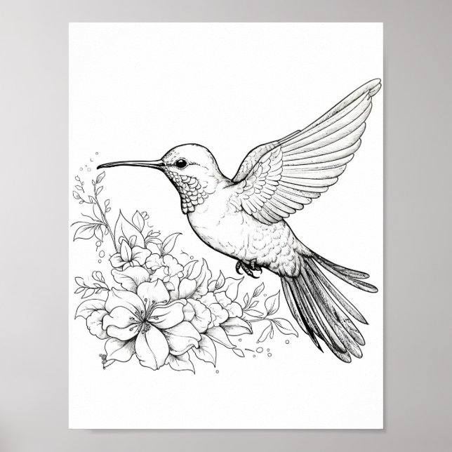 Póster Hummingbird Coloring adulto (Frente)