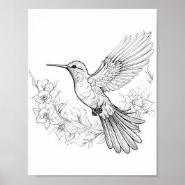 Póster Hummingbird Coloring adulto