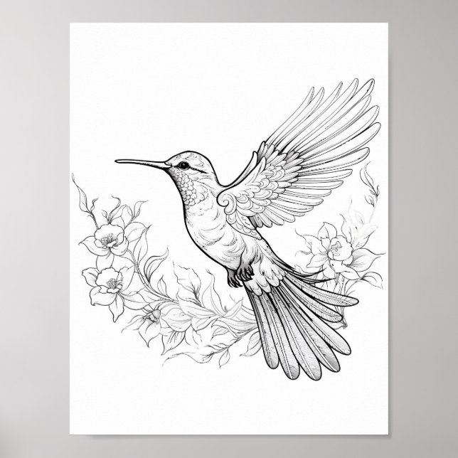 Póster Hummingbird Coloring adulto (Frente)