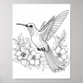 Póster Hummingbird Coloring adulto