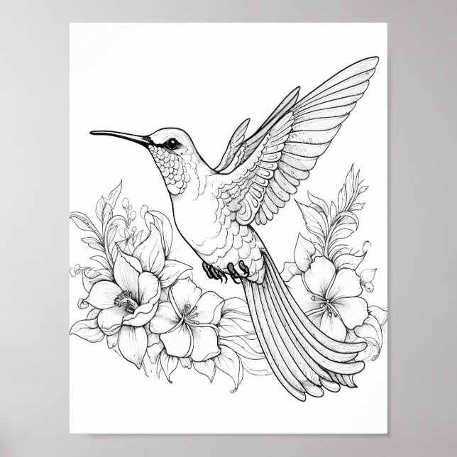Póster Hummingbird Coloring adulto (Frente)