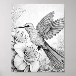 Póster Hummingbird Coloring adulto