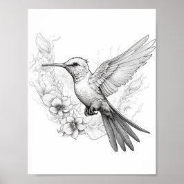 Póster Hummingbird Coloring adulto