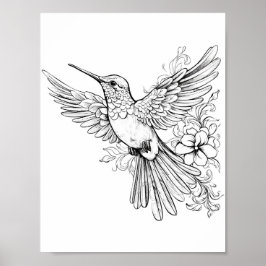 Póster Hummingbird Coloring adulto