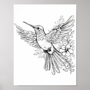 Póster Hummingbird Coloring adulto