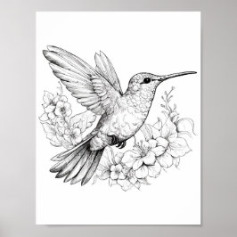 Póster Hummingbird Coloring adulto