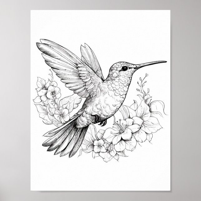 Póster Hummingbird Coloring adulto (Frente)