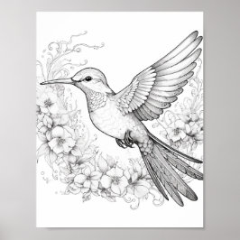 Póster Hummingbird Coloring adulto