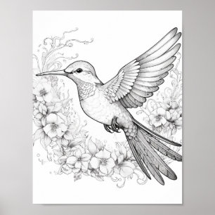 Póster Hummingbird Coloring adulto