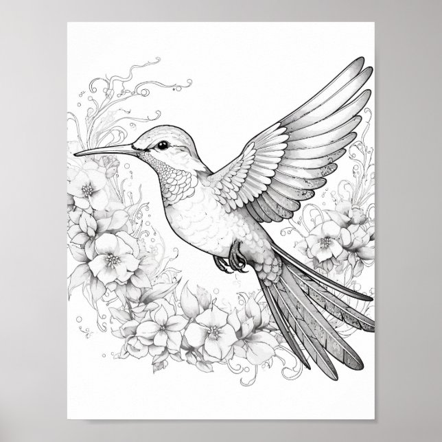 Póster Hummingbird Coloring adulto (Frente)