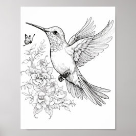 Póster Hummingbird Coloring adulto