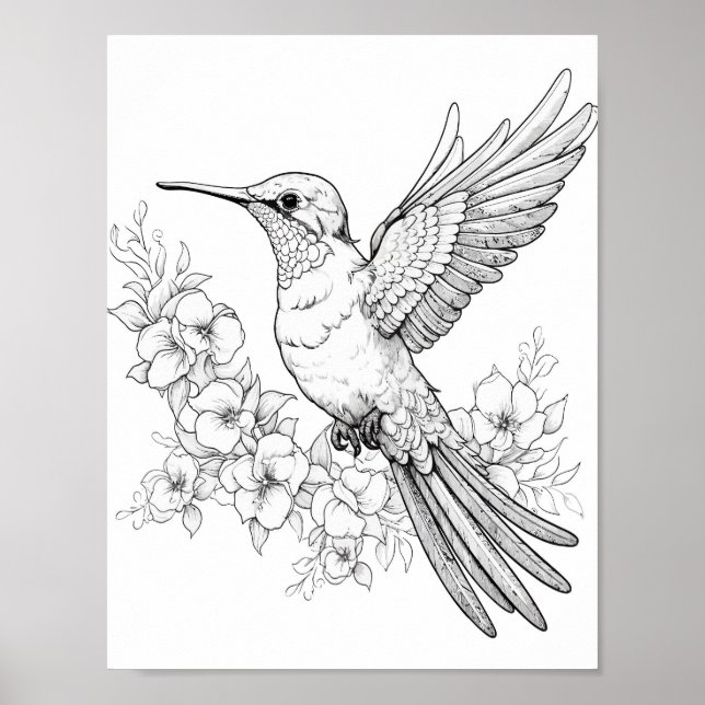 Póster Hummingbird Coloring adulto (Frente)