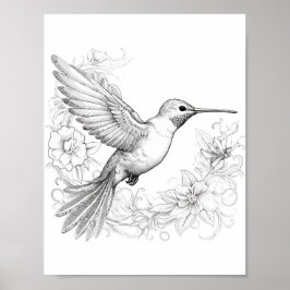 Póster Hummingbird Coloring adulto
