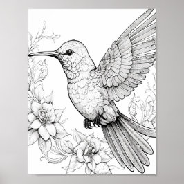 Póster Hummingbird Coloring adulto