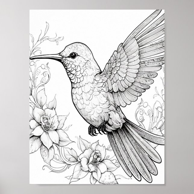 Póster Hummingbird Coloring adulto (Frente)