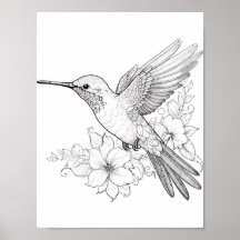 Hummingbird Coloring adulto