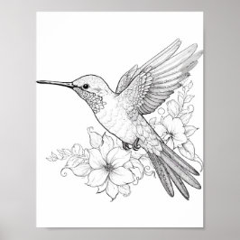 Póster Hummingbird Coloring adulto