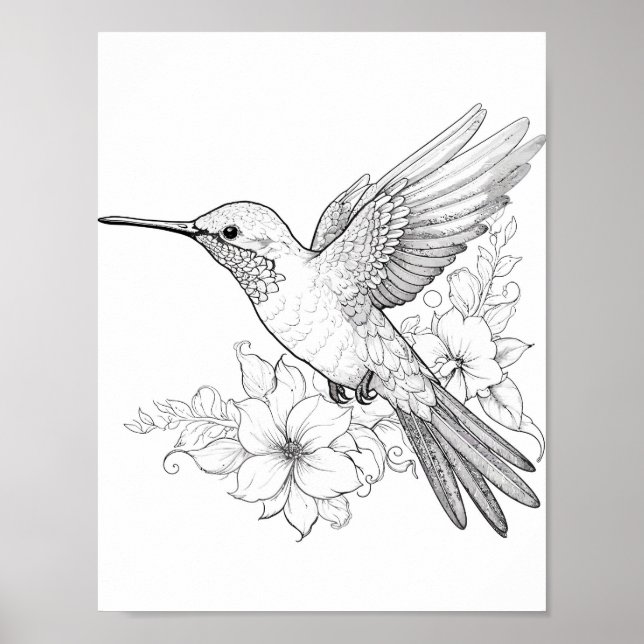 Póster Hummingbird Coloring adulto (Frente)