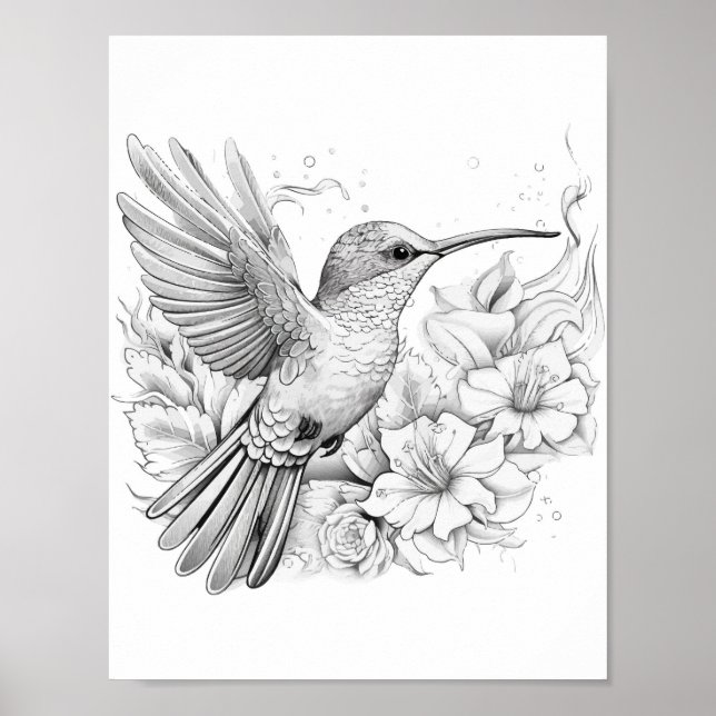 Póster Hummingbird Coloring adulto (Frente)