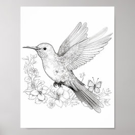 Póster Hummingbird Coloring adulto