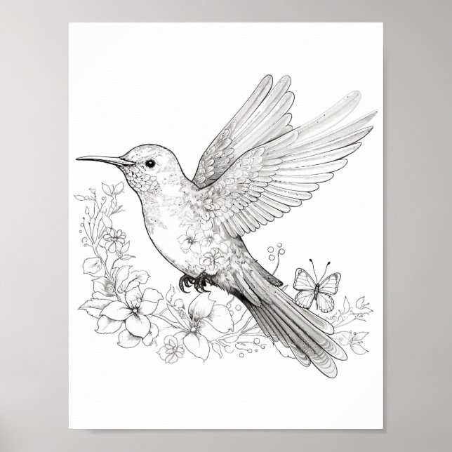 Póster Hummingbird Coloring adulto (Frente)