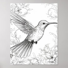 Póster Hummingbird Coloring adulto